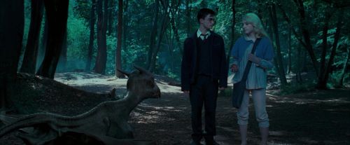 OdF-Potterish_3198.jpg