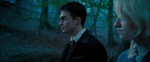 OdF-Potterish_3212.jpg