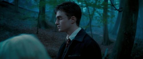OdF-Potterish_3214.jpg