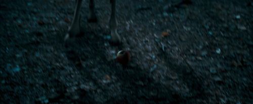OdF-Potterish_3215.jpg