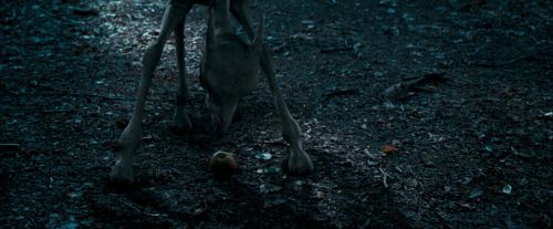 OdF-Potterish_3216.jpg