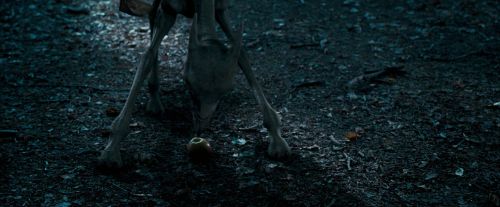 Click to view full size image
==============
OdF-Potterish_3217.jpg OdF-Potterish_3217.jpg