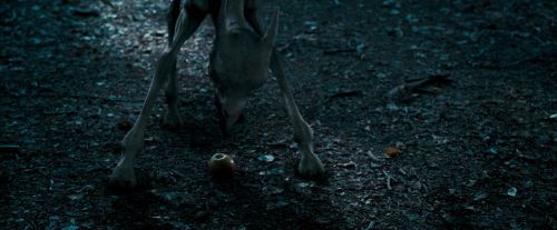 OdF-Potterish_3218.jpg