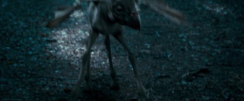 OdF-Potterish_3219.jpg