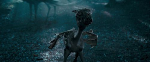 Click to view full size image
==============
OdF-Potterish_3220.jpg OdF-Potterish_3220.jpg