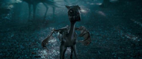 OdF-Potterish_3221.jpg