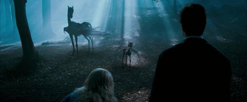 OdF-Potterish_3244.jpg
