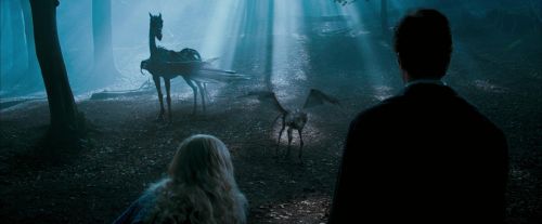 OdF-Potterish_3245.jpg
