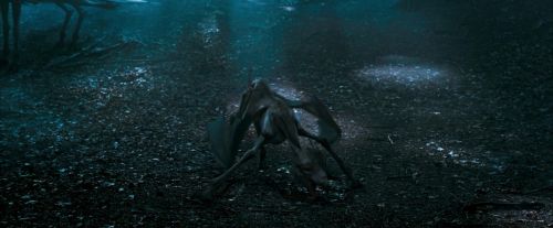 Click to view full size image
==============
OdF-Potterish_3246.jpg OdF-Potterish_3246.jpg