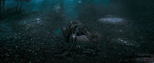 Click to view full size image
==============
OdF-Potterish_3251.jpg OdF-Potterish_3251.jpg