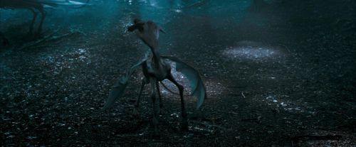 Click to view full size image
==============
OdF-Potterish_3252.jpg OdF-Potterish_3252.jpg
