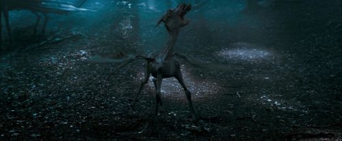 OdF-Potterish_3253.jpg