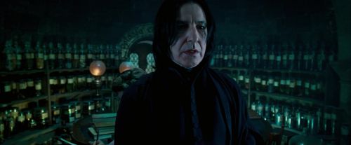 OdF-Potterish_3408.jpg