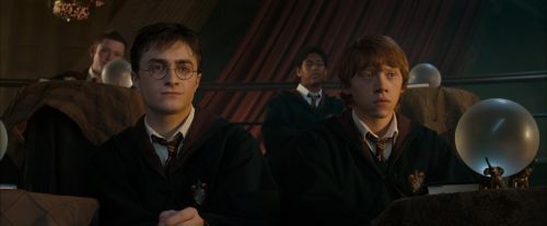 OdF-Potterish_3491.jpg