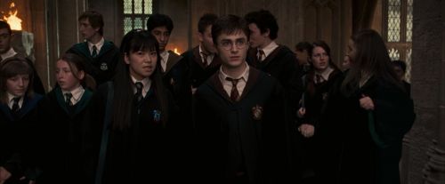 Click to view full size image
==============
OdF-Potterish_3526.jpg OdF-Potterish_3526.jpg