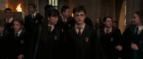 OdF-Potterish_3527.jpg
