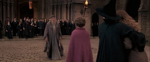 OdF-Potterish_3622.jpg