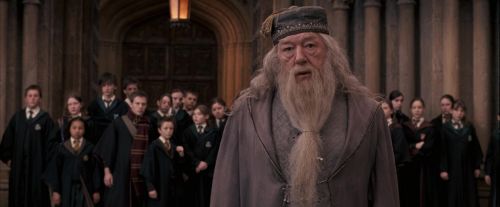 Click to view full size image
==============
OdF-Potterish_3658.jpg OdF-Potterish_3658.jpg