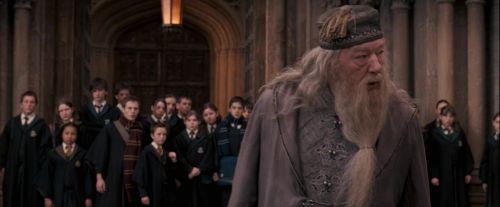OdF-Potterish_3661.jpg