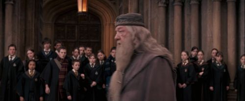 Click to view full size image
==============
OdF-Potterish_3662.jpg OdF-Potterish_3662.jpg
