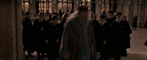 OdF-Potterish_3671.jpg