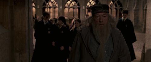 OdF-Potterish_3673.jpg