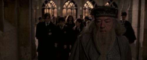 Click to view full size image
==============
OdF-Potterish_3674.jpg OdF-Potterish_3674.jpg