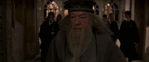 OdF-Potterish_3675.jpg