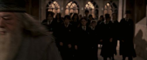 OdF-Potterish_3676.jpg