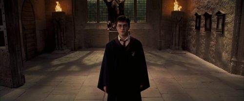Click to view full size image
==============
OdF-Potterish_3691.jpg OdF-Potterish_3691.jpg