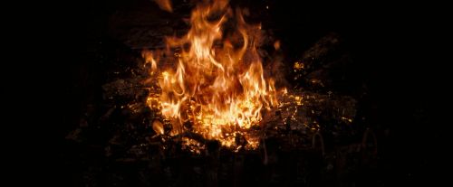 Click to view full size image
==============
OdF-Potterish_3735.jpg OdF-Potterish_3735.jpg