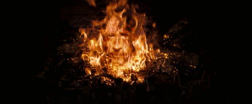 OdF-Potterish_3745.jpg