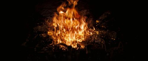 OdF-Potterish_3766.jpg