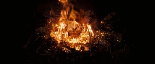 OdF-Potterish_3780.jpg