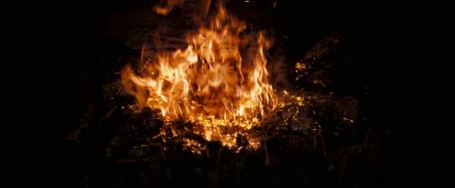 OdF-Potterish_3781.jpg