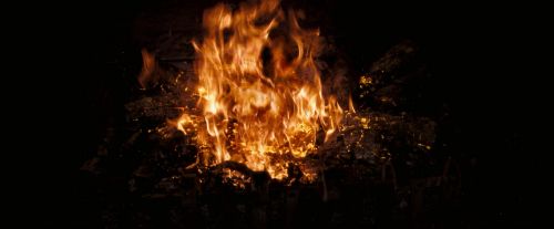 OdF-Potterish_3782.jpg