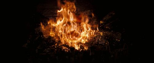 OdF-Potterish_3783.jpg