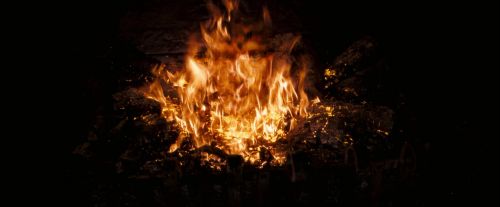OdF-Potterish_3787.jpg