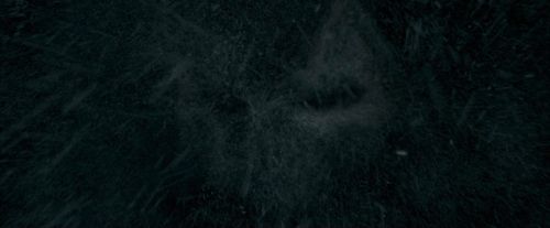 OdF-Potterish_3845.jpg