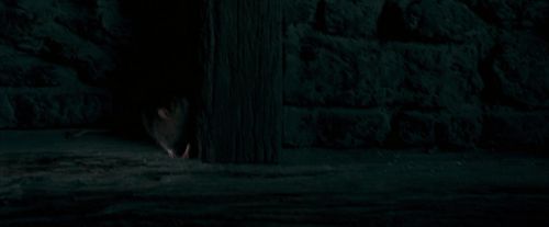 OdF-Potterish_3878.jpg