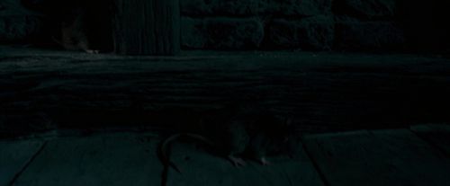 Click to view full size image
==============
OdF-Potterish_3879.jpg OdF-Potterish_3879.jpg