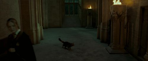 Click to view full size image
==============
OdF-Potterish_4310.jpg OdF-Potterish_4310.jpg
