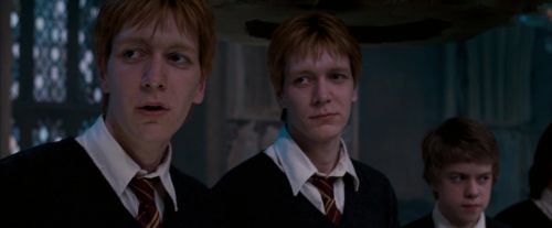 Click to view full size image
==============
OdF-Potterish_4372.jpg OdF-Potterish_4372.jpg