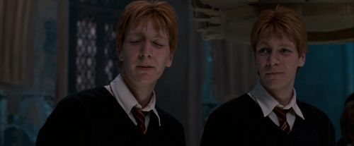 OdF-Potterish_4393.jpg