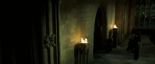 Click to view full size image
==============
OdF-Potterish_4418.jpg OdF-Potterish_4418.jpg