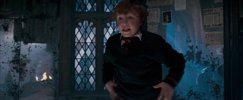 Click to view full size image
==============
OdF-Potterish_4474.jpg OdF-Potterish_4474.jpg