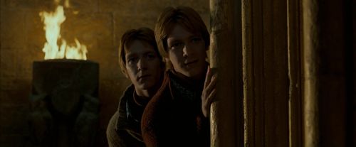 Click to view full size image
==============
OdF-Potterish_4489.jpg OdF-Potterish_4489.jpg
