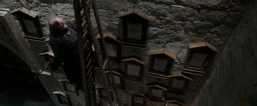 OdF-Potterish_4506.jpg