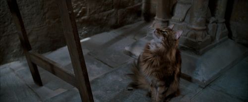 OdF-Potterish_4507.jpg