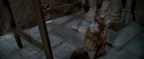 Click to view full size image
==============
OdF-Potterish_4508.jpg OdF-Potterish_4508.jpg